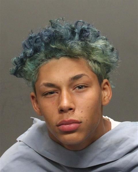 Mug shots 2019
